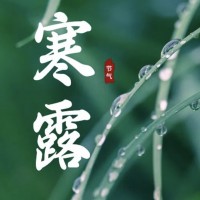 今日寒露 | 露水寒，秋意满